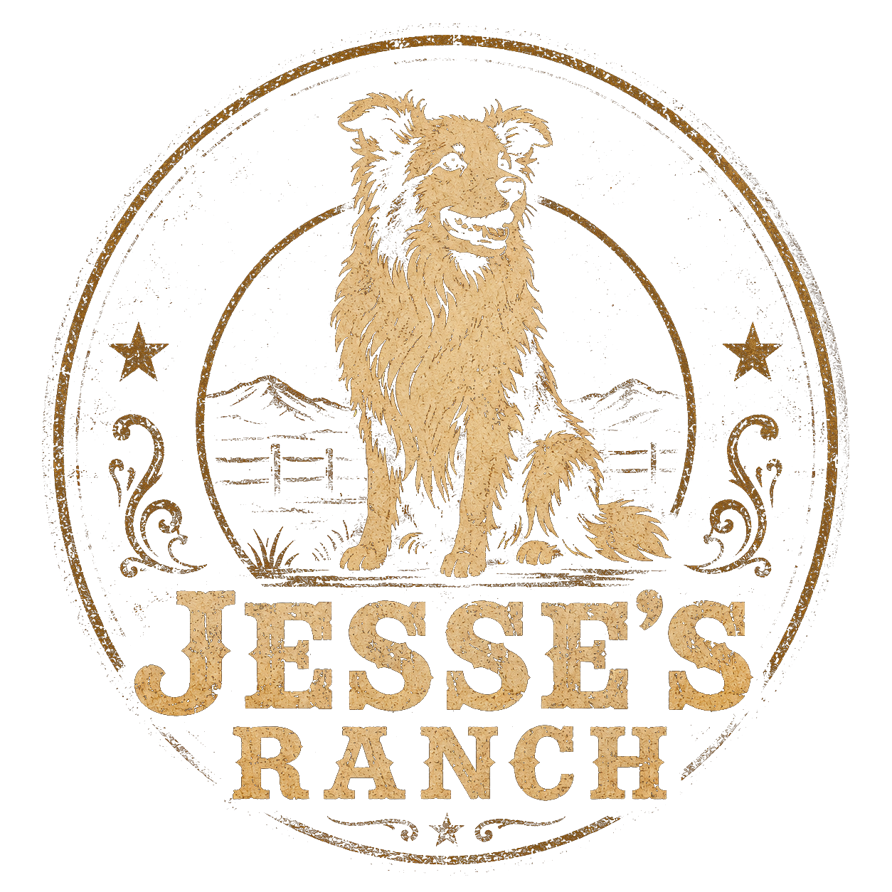 Jesse's Ranch — a working ranch country bar